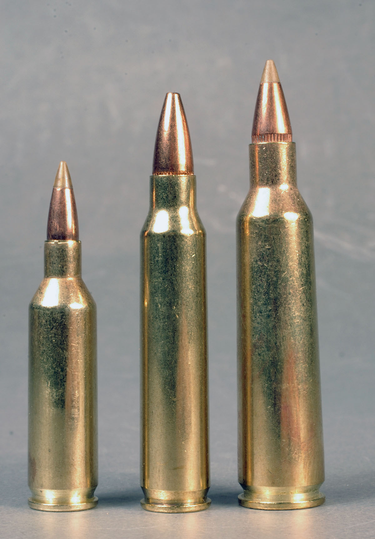 The .17 Fireball stands a little short next to the .223 and .22-250 Remingtons.