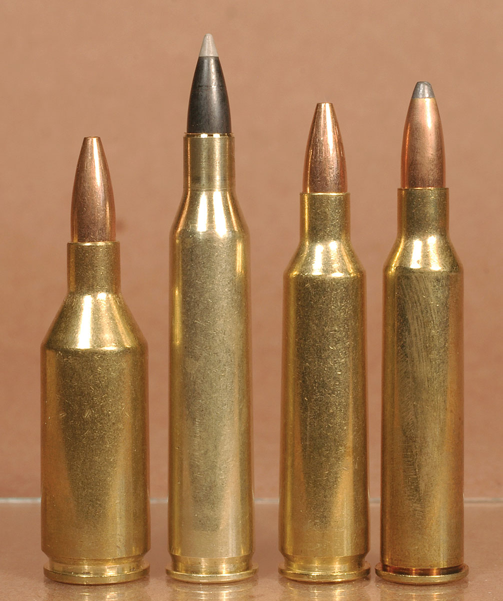These hot .22-caliber cartridges will all burn out a barrel if long strings of shots are fired through them. From the left: 223 Winchester Super Short Magnum, 220 Swift, 22-250 Remington and  225 Winchester.