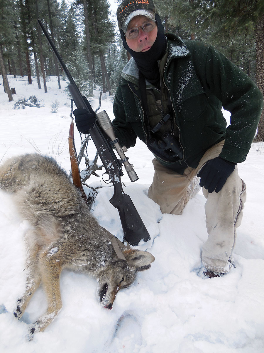 IMR-4166’s unchanging velocities over a range of temperatures is one plus for coyote hunters.