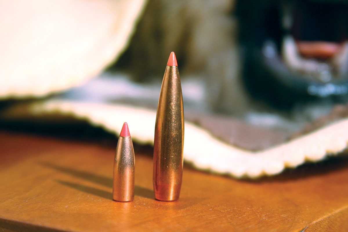 Big or small, polymer-tipped bullets provide better downrange performance.
