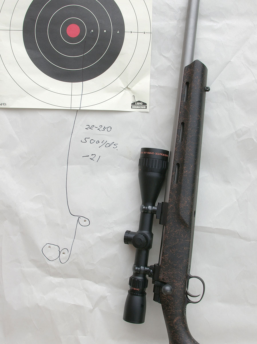 The 22-250 Remington is a flat-shooting cartridge; 55-grain bullets dropped only 21 inches at 500 yards.