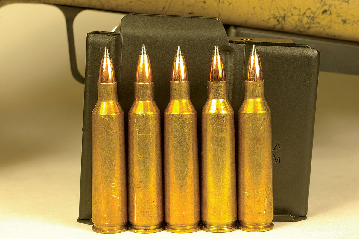 The Model 22R Raptor comes with a detachable magazine that holds five 22-250 Remington cartridges.