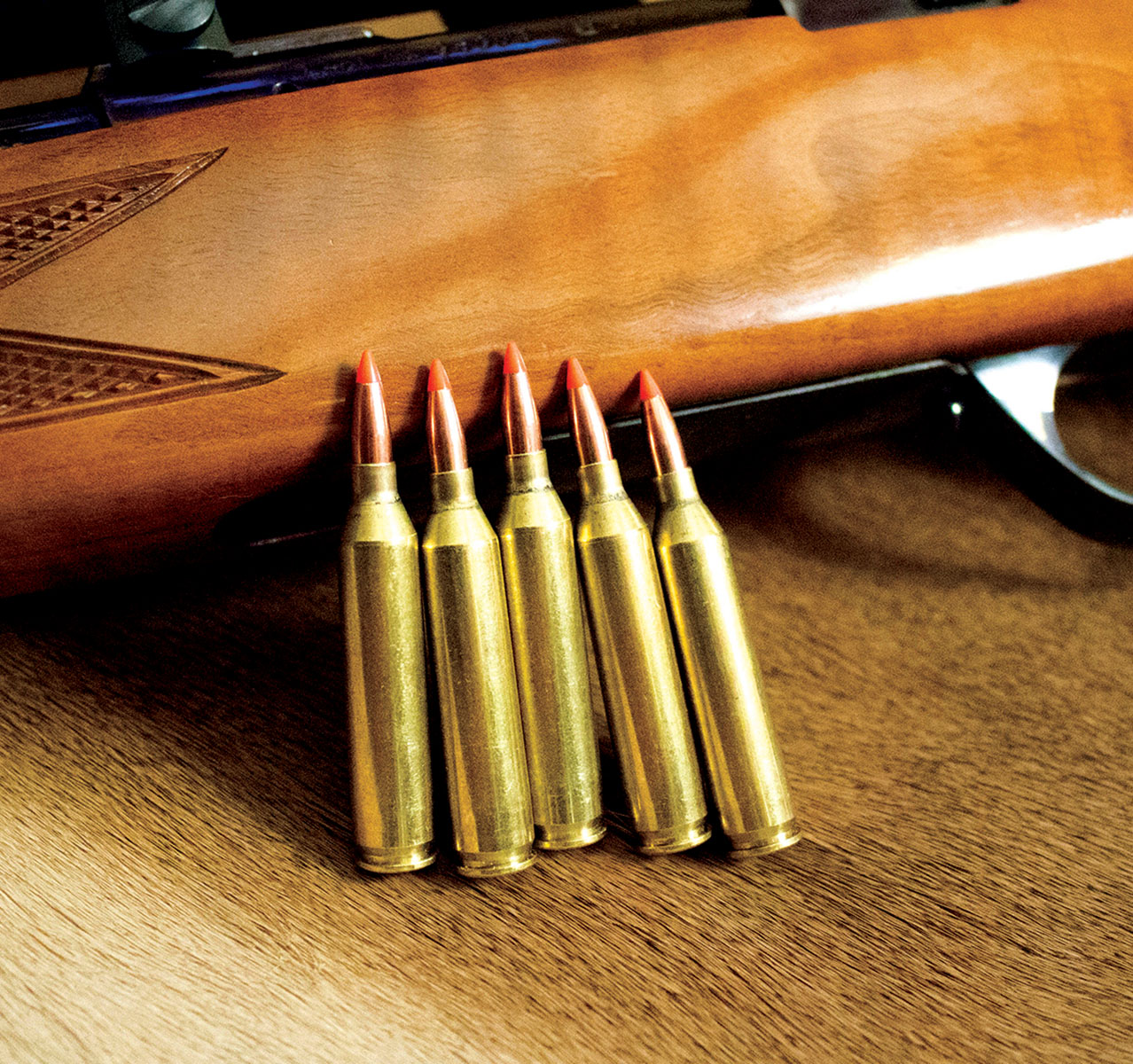 Hornady 25-grain V-MAX bullets loaded in converted 223 brass.