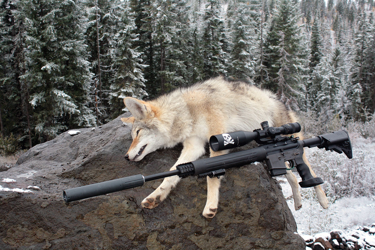 Suppressors and predator calling make an ideal combination.