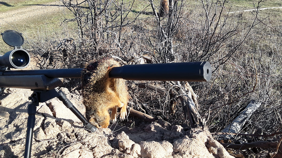 Rimfire cans are especially useful, allowing shooting without any hearing protection and nearer civilization without disturbing anyone. Patrick uses a Huntertown Arms Guardian 22 on his 22 LRs.