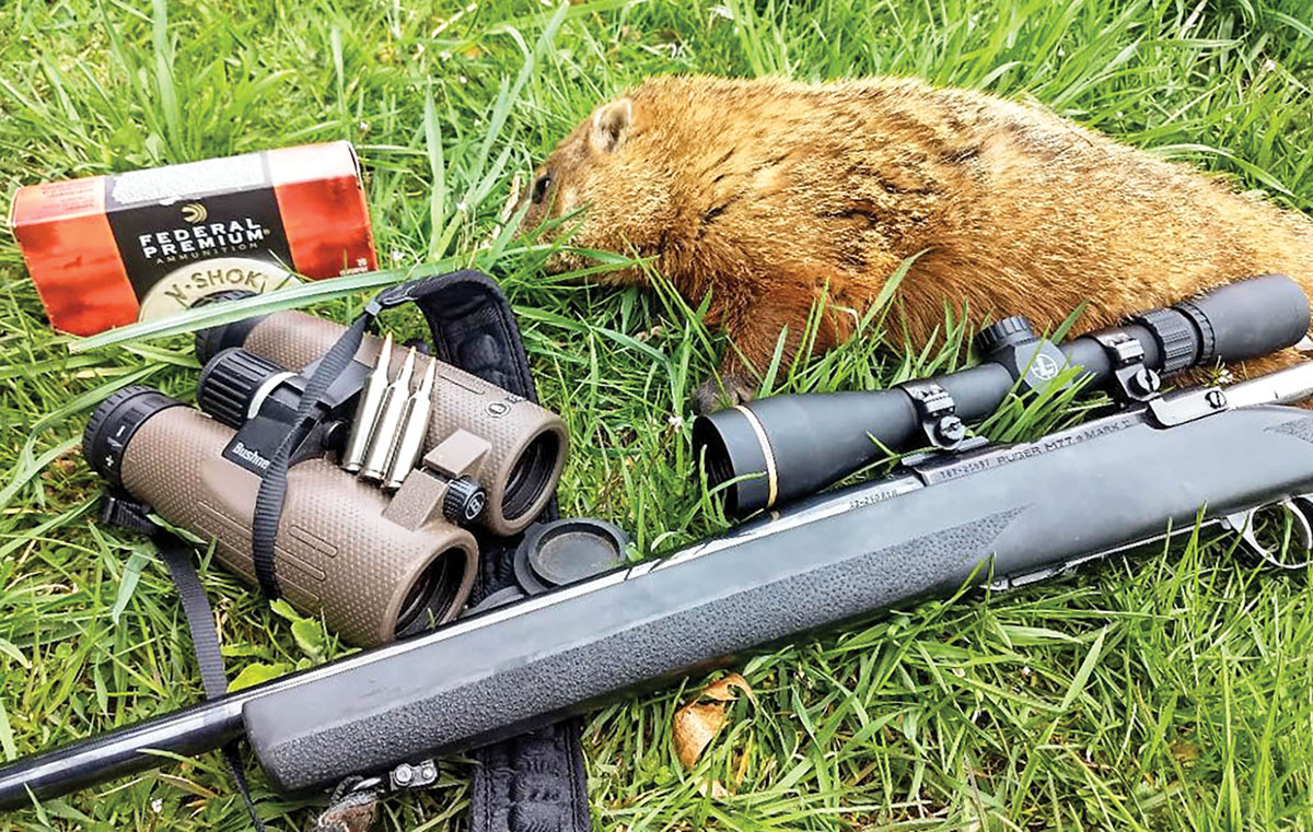 This old woodchuck fell to a Nosler 55-grain Ballistic Tip Varmint bullet from Philip’s .22-250 Remington.