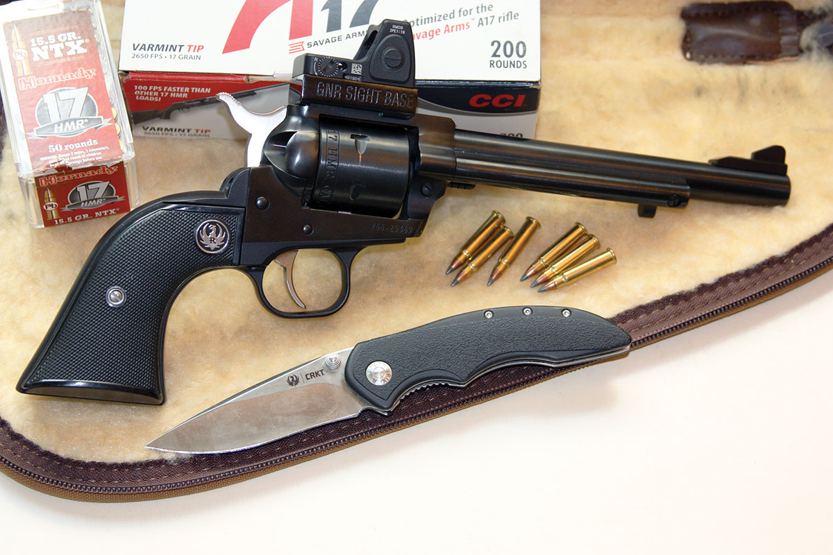 The 15.5-grain Hornady load was the most accurate in Dick’s Ruger but chronographed almost 200 fps slower than the CCI 17-grain load.