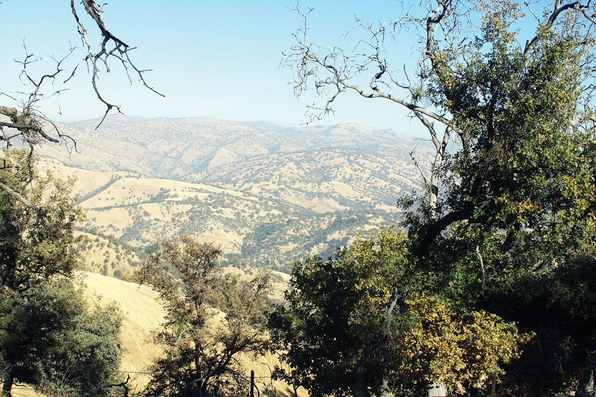 The Tejon Ranch encompasses thousands of acres of land in the foothills and mountains north of Los Angeles. It’s home to elk, deer, wild hogs, and one of Dick’s favorite animals, ground squirrels.