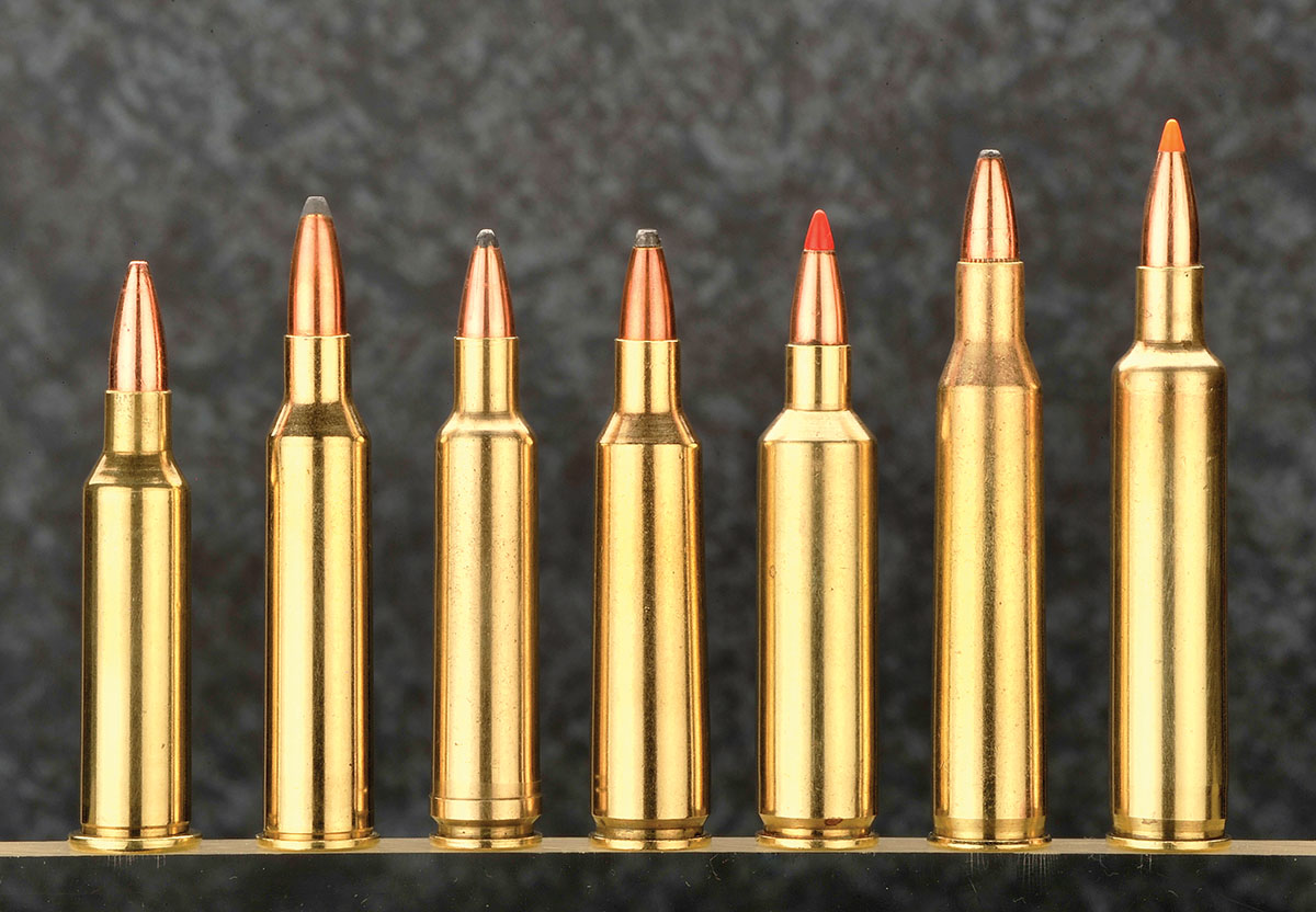 Stan has worked with all of these cartridges, some of which are wildcats. From left to right: 219 Wasp, 225 Winchester, 224 Weatherby, 22-250 Remington, 22-250 Remington Ackley Improved, 220 Swift, 220 Weatherby Rocket.