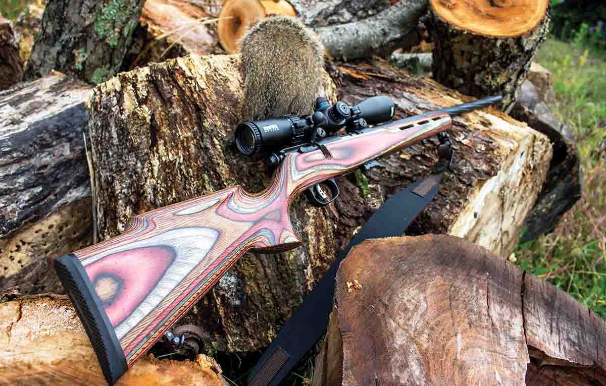 The Savage Mark II BRJ sorts out another woodchuck.