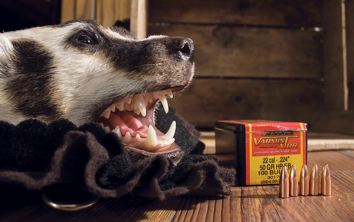 Unlike the vast majority of the Barnes bullet line, the Varmin-A-Tor features a cup-and-core design that is intentionally frangible for explosive terminal performance.