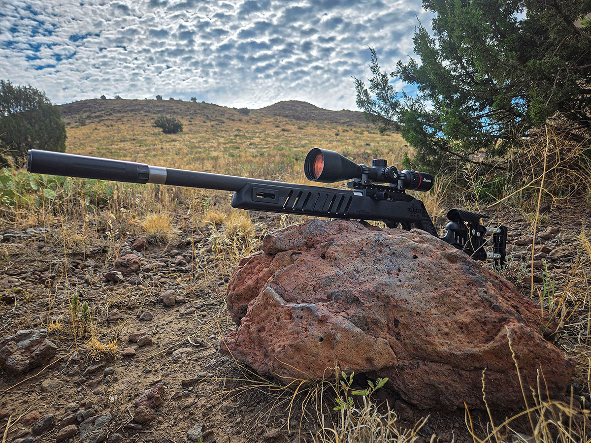 The SwitchBolt is a highly customizable platform compatible with many 10/22 stocks, magazines and trigger groups. It has a good reputation in competition circles as well as those looking for a high-end rifle for varmint hunting.
