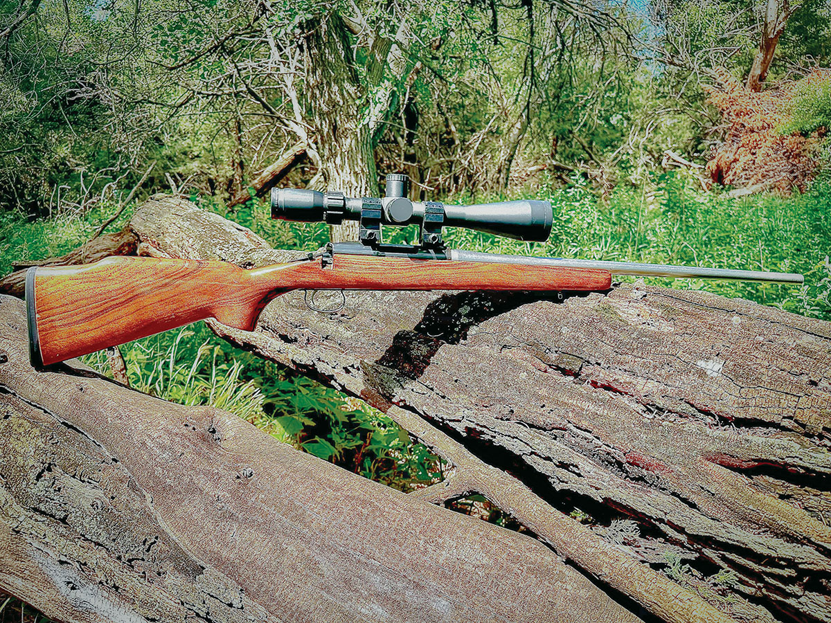 The Remington 788 chambered in 22-250.
