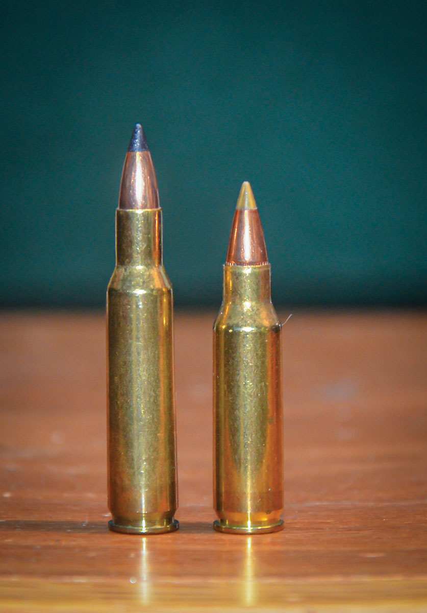 The 222 Remington (left) was originally planned for the XP-100, but due to a huge muzzle flash from its 10-inch barrel, that case was shortened to 1.400 inches for a smaller charge of quicker-burning powder (right).