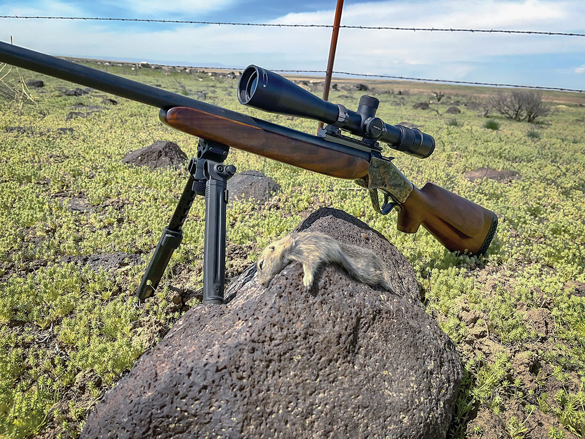 Patrick used his Falling Block Works 225 Winchester to snipe this tiny Richardson’s ground squirrel in southern Idaho at a bit more than 300 yards - a bit of overkill, but welcomed to defeat a stout crosswind.